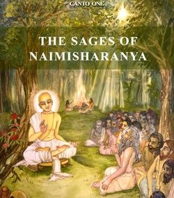 Big revision of Sages of Naimisharanya