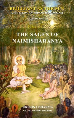 Big revision of Sages of Naimisharanya